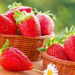 підживлення полуниці у квітні