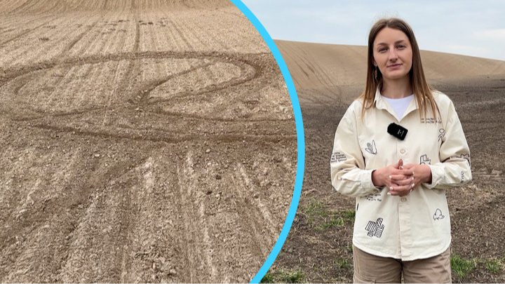 На Волині підлітки влаштували «гонки» полем і знищили 3 гектари буряків