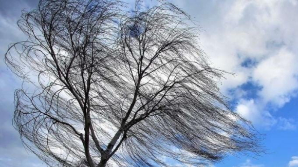 негода в Україні, прогноз погоди, погода в україні