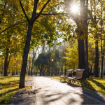 потепління в Україні, погода в Україні
