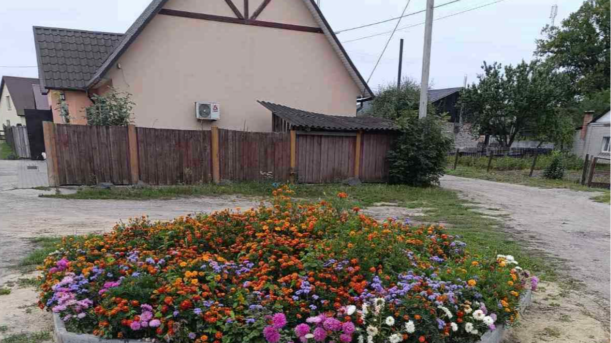 Волинянка перетворила смітник біля магазину на квітучу клумбу