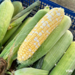 Скільки коштує молода кукурудза на ринку у Луцьку?
