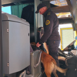 На Волині службові собаки виявляють наркотики у найнесподіваніших місцях