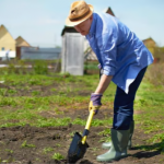 Провідна неділя 2026: коли можна працювати на землі