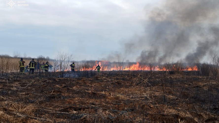 На Волині дві доби ліквідовували масштабну пожежу сухої трави