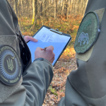 У Луцькому районі на території нацпарку виявили незаконну рубку лісу на майже 2 млн грн