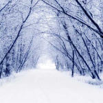 погода у грудні 2025