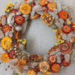 Як виростити зайцехвіст у саду та вдома: прості поради від досвідченої квітникарки з Волині