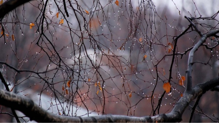 прогноз погоди в Україні