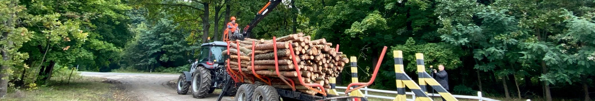 Опалювальний сезон на носі: які ціни на дрова на Волині