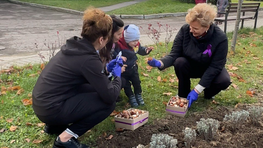 Тисяча тюльпанів для найменших сердець: у Луцьку створили квітник надії для передчасно народжених дітей