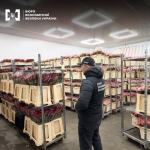 На Волині викрили квіткову мережу, яка приховала мільйонні доходи і не сплатила 10,6 млн грн податків