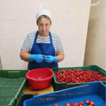 Після перерви повернулася до професії: на Волині жінка 50+ знайшла роботу завдяки державній програмі