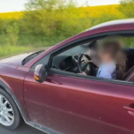 У Луцьку батько посадив за кермо авто 10-річного сина: що відомо