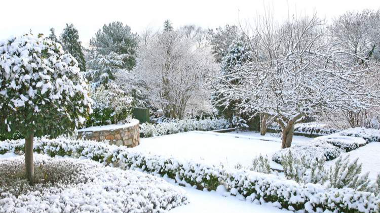 чим обприскати сад у лютому