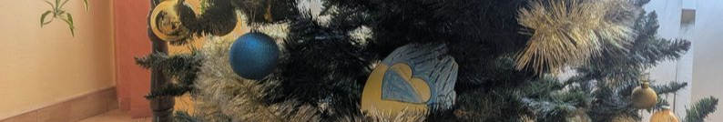 Коляда, святкове олів’є та ялинки: як волинський госпіталь дарує тепло ветеранам війни