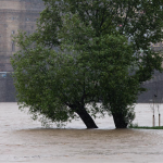 повінь на Волині