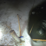 Поліція встановлює особу жінки, тіло якої виявили у Ковелі. Фото 18+