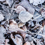 погода в Україні, прогноз погоди на вихідні