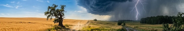 На Волині буде до +35°, а потім погода різко зміниться: прогноз на вихідні