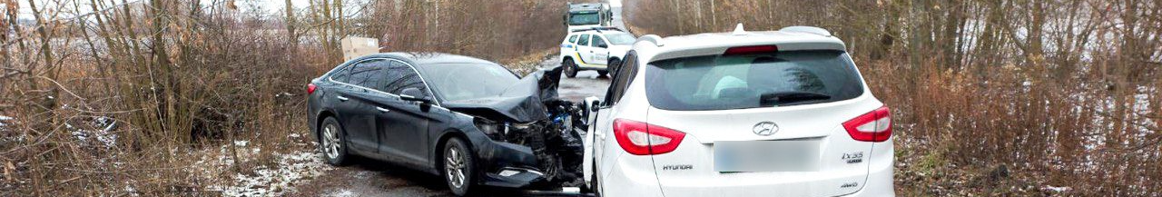 Дитина загинула через порушення ПДР: матір та лучанин постануть перед судом