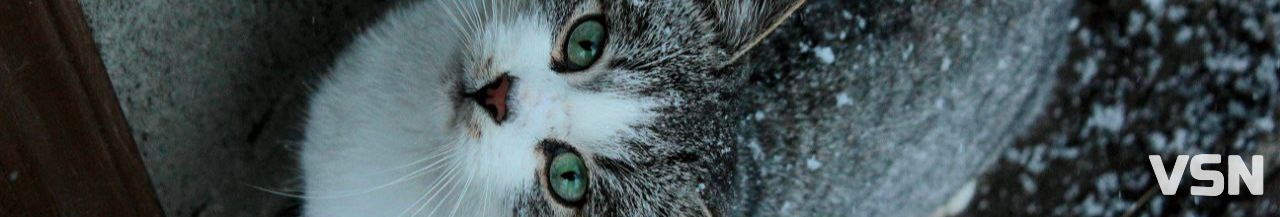 Штормове попередження: 22 та 23 листопада Волинь накриє мокрий сніг та мороз