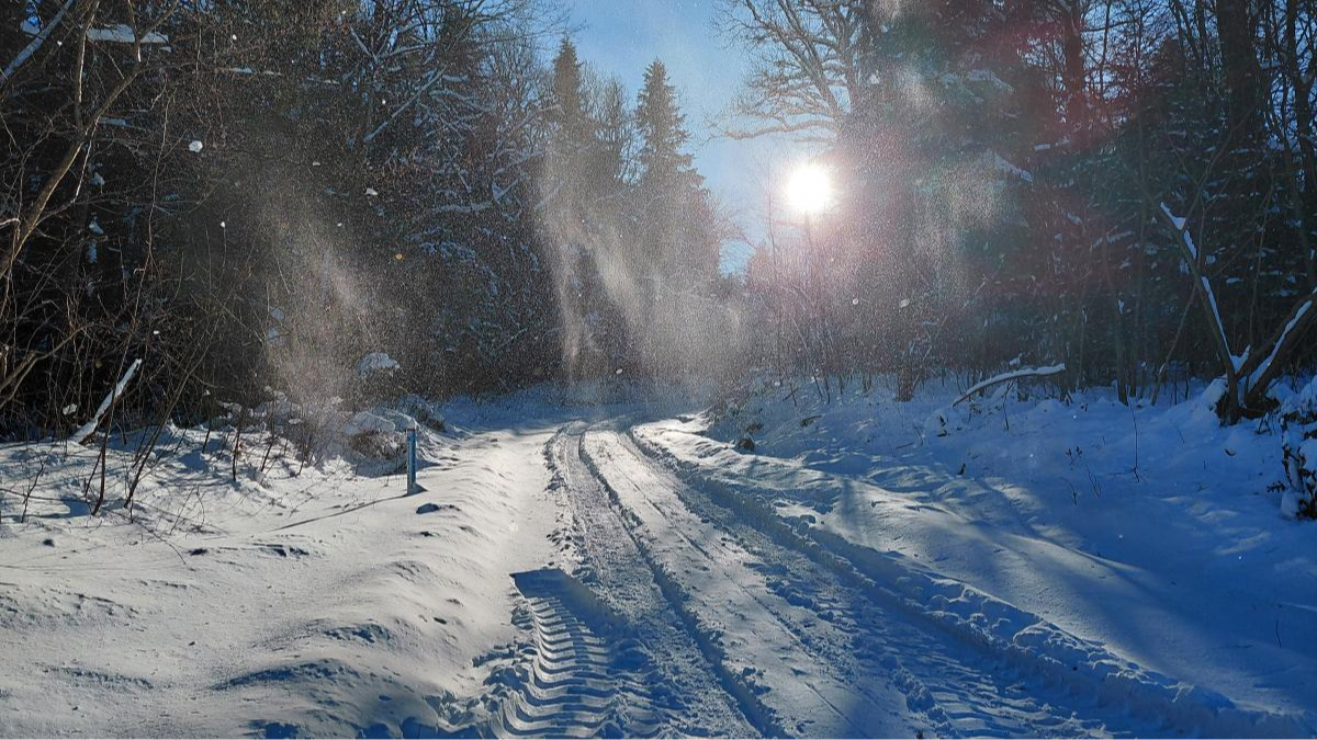 морози в Україні