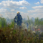 На Волині за добу вигоріло близько гектара сухої трави, чагарників та очерету