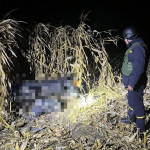 У селі Луцького району знайшли вибуховий предмет сучасного типу