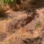 В Маріуполі викопують тіла та без ідентифікації ховають у братській могилі