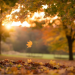 Ігор Кібальчич про потепління в Україні