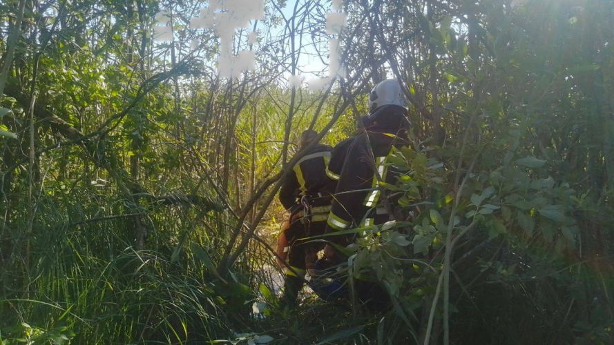 Хотів скоротити дорогу і ледь не загинув: на Волині чоловік застряг на болоті