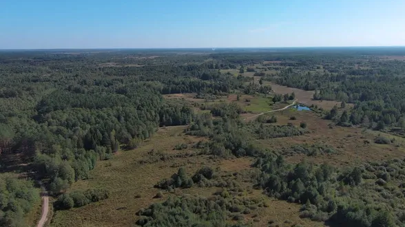 На Волині незаконно передані понад 32 гектари земель лісгоспу повернули державі