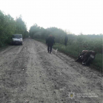 На Волині мотоцикліст впав на дорогу, він отримав політравму та численні переломи