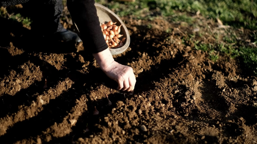 Що не можна робити: наближаються 2 дні у квітні, коли заборонено працювати на городі