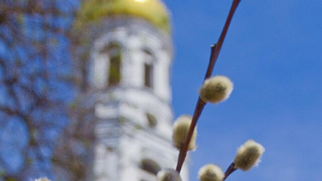 Розклад богослужінь у храмах Луцька на Вербну неділю