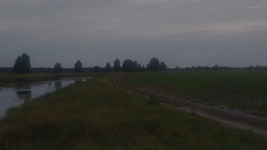 На Волині виявили масштабне порушення у прибережній зоні річки Прип’ять