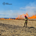пшиничне поле, пожежа, Рівненський район