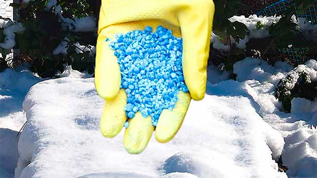Які добрива взимку найкраще розкидати на сніг - поради експертів