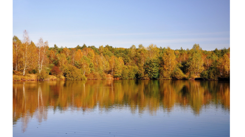 Яворівський парк — зразок гармонії людини та природи