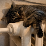 Коли у Луцьку увімкнуть опалення?