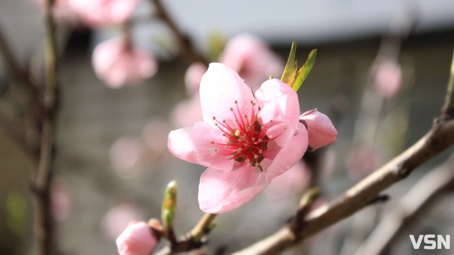 Дощі та нічні заморозки: якою буде погода 18 та 19 квітня на Волині?