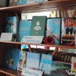 «Хто ходить до церкви, тоді вже і до нас заходить»: чим живуть сільські бібліотеки на Волині
