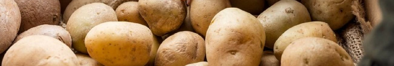 Залишитесь без урожаю: які овочі категорично не можна зберігати з картоплею