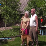 Взяли кілька сумок і собаку: подружжя з Харківщини знайшло прихисток на Волині. Відео