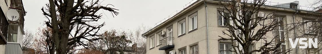 У центрі Луцька стартувала планова обрізка крон дерев