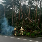 На Волині негода повалила дерево та зірвала дах складу