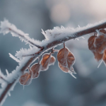 погода у Волинській області