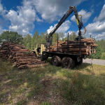 На Волині виявили деревину, яку незаконно вантажили краном на лісовоз