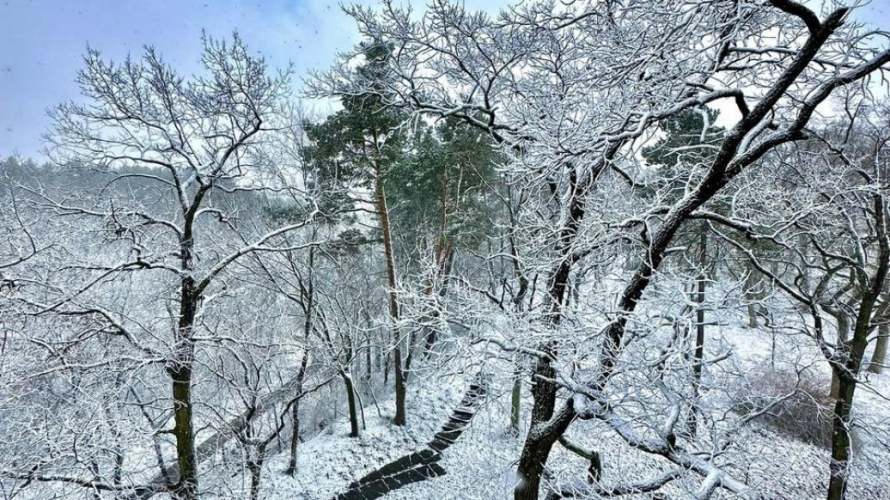 Сніжитиме ще декілька днів: у Луцьк повернулась зима із хурделицями